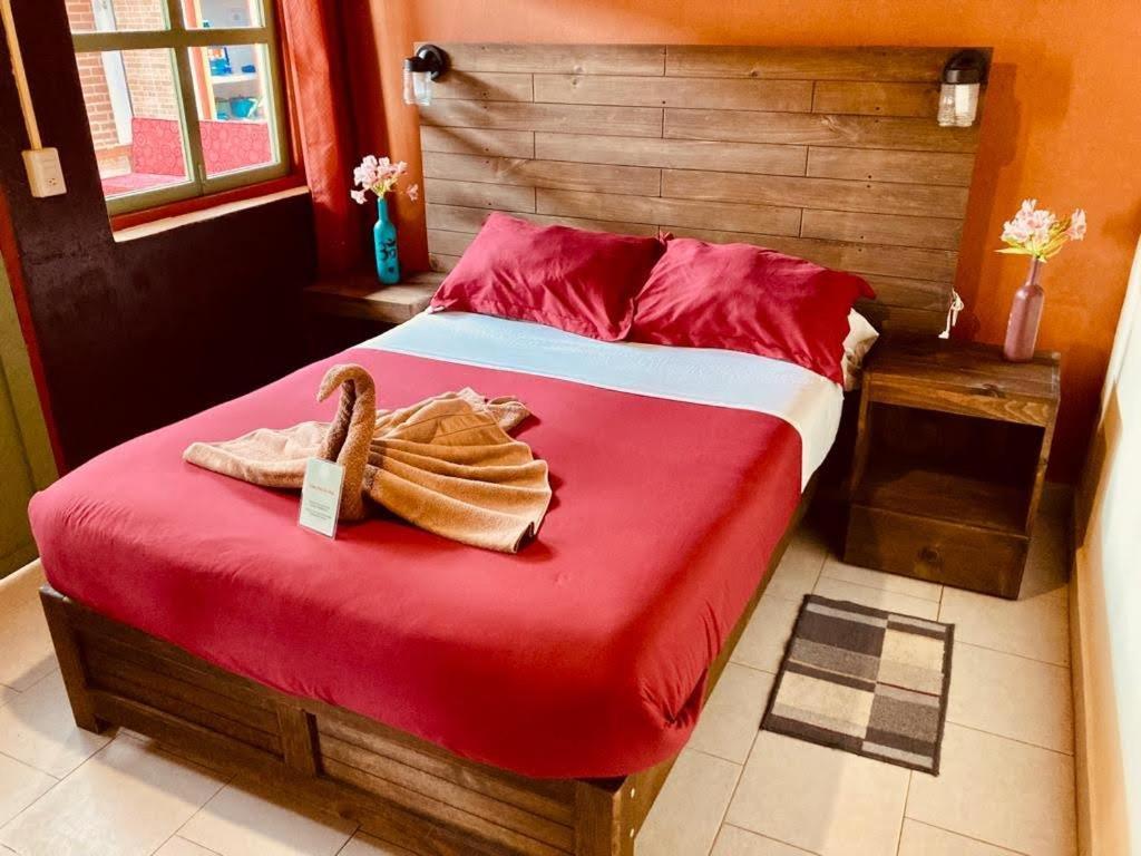 Casa Flor De Vida Hotel San Cristóbal de Las Casas Buitenkant foto