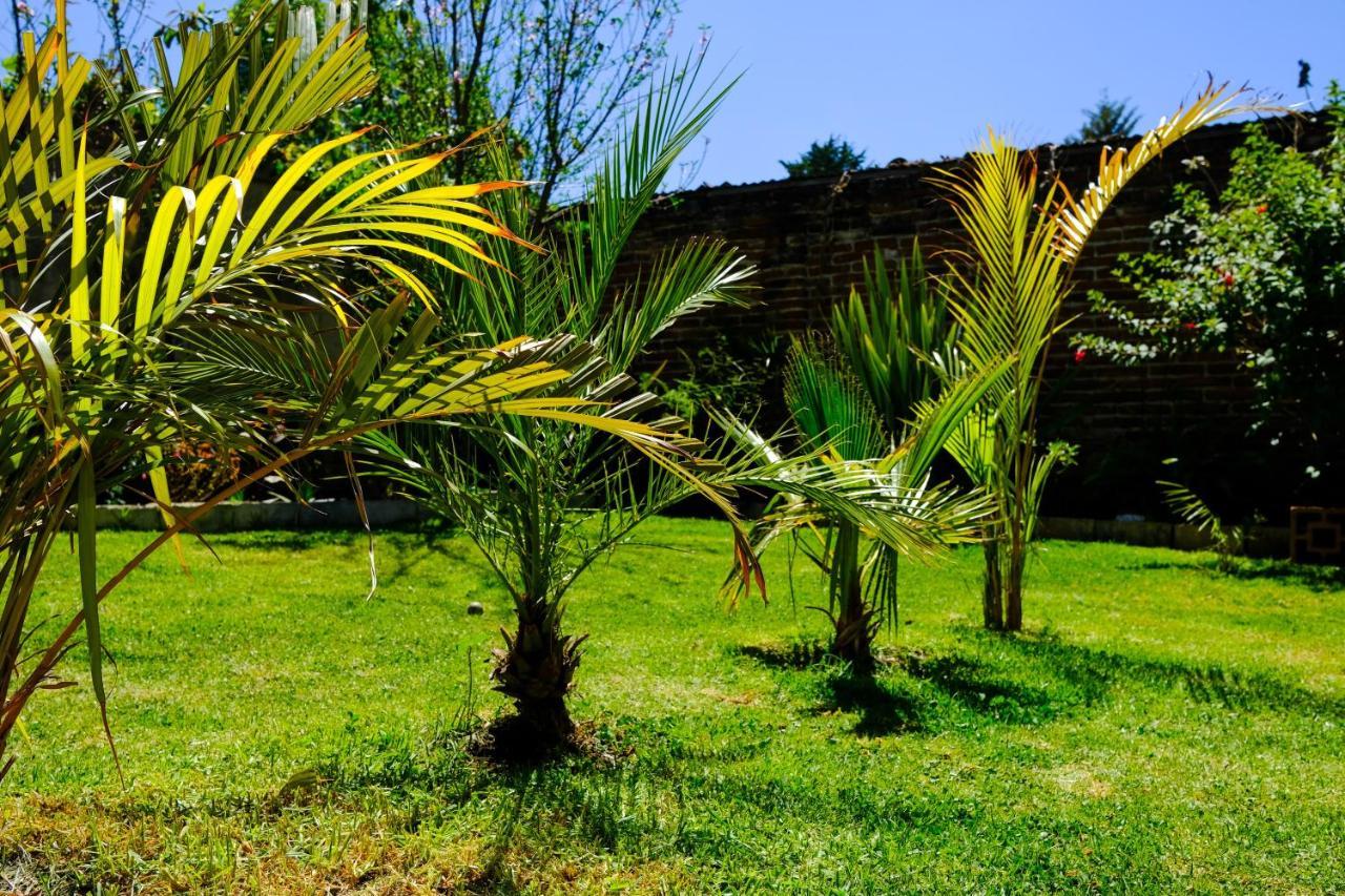 Casa Flor De Vida Hotel San Cristóbal de Las Casas Buitenkant foto