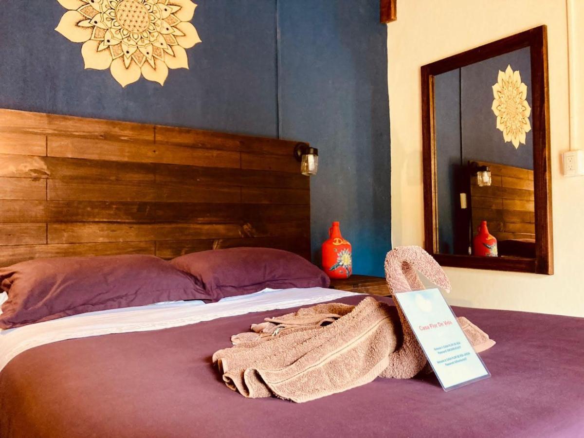 Casa Flor De Vida Hotel San Cristóbal de Las Casas Buitenkant foto