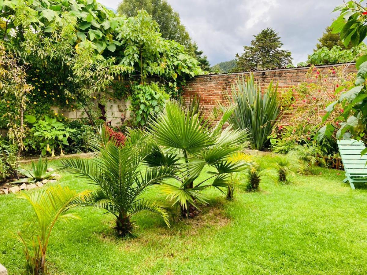 Casa Flor De Vida Hotel San Cristóbal de Las Casas Buitenkant foto
