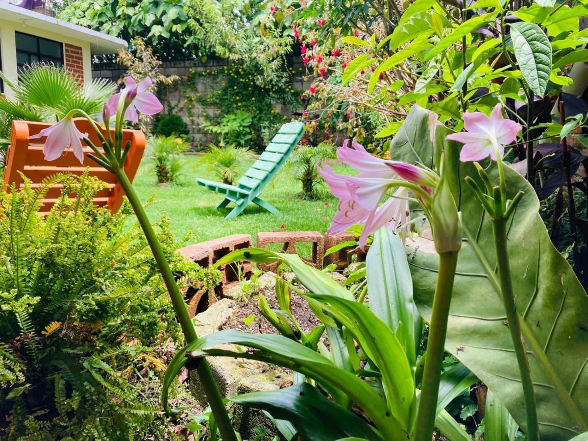 Casa Flor De Vida Hotel San Cristóbal de Las Casas Buitenkant foto