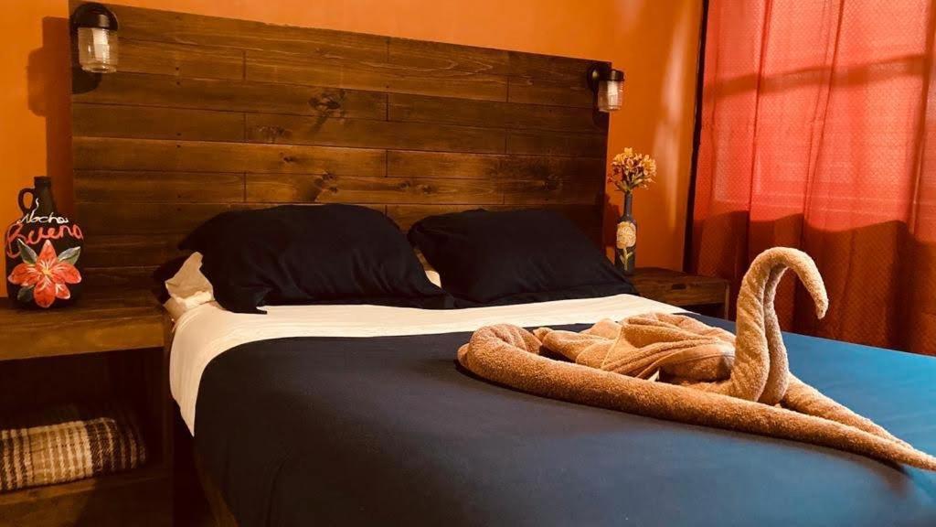 Casa Flor De Vida Hotel San Cristóbal de Las Casas Buitenkant foto