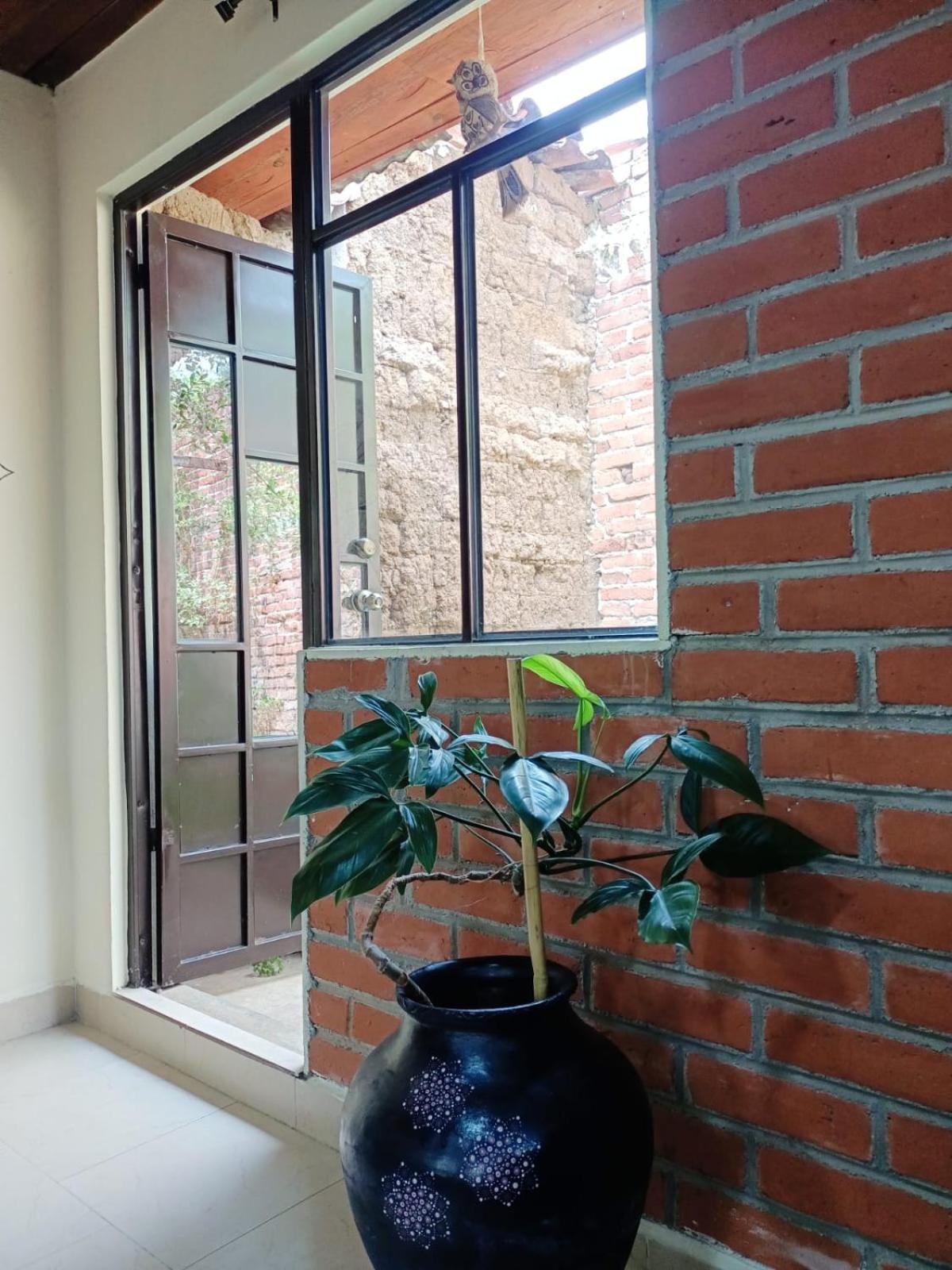 Casa Flor De Vida Hotel San Cristóbal de Las Casas Buitenkant foto